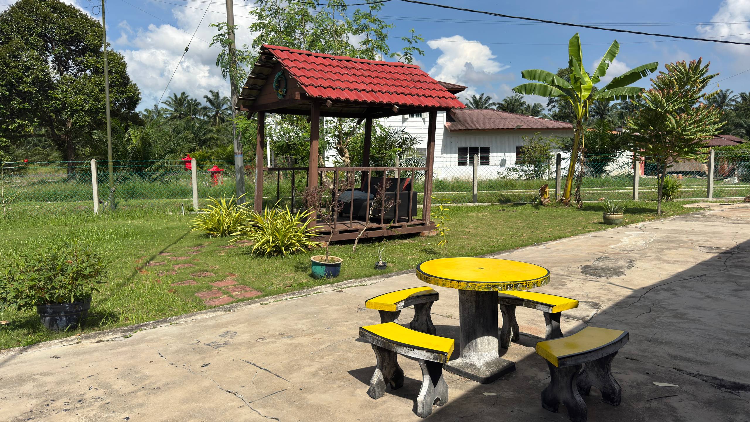 Image 11
